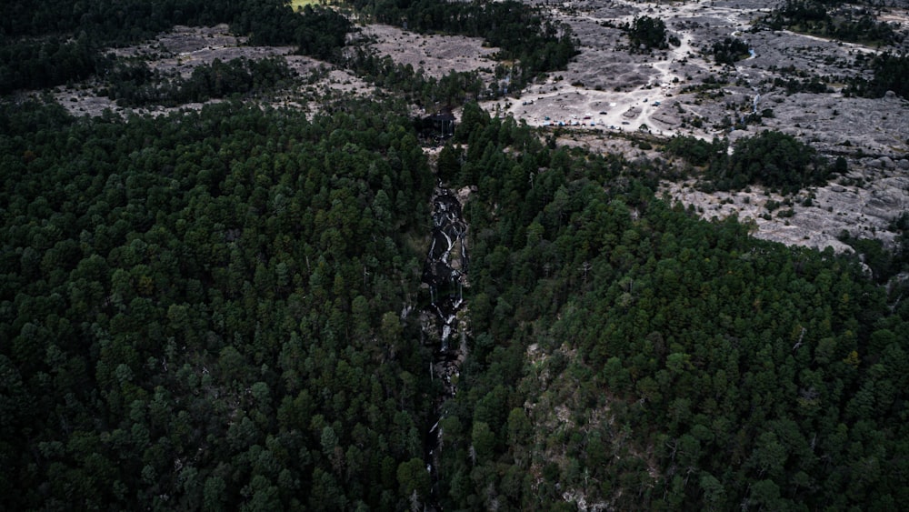 an aerial view of a forested area with a river running through it
