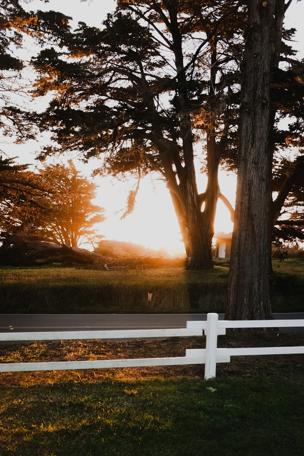 a white fence sitting next to a lush green field