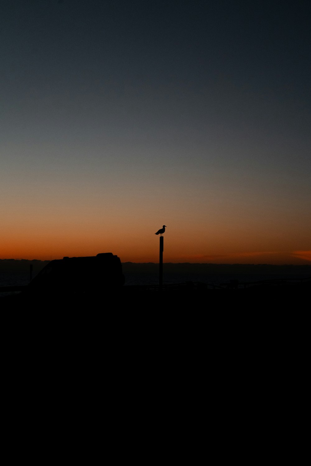 a bird sitting on top of a rock near the ocean