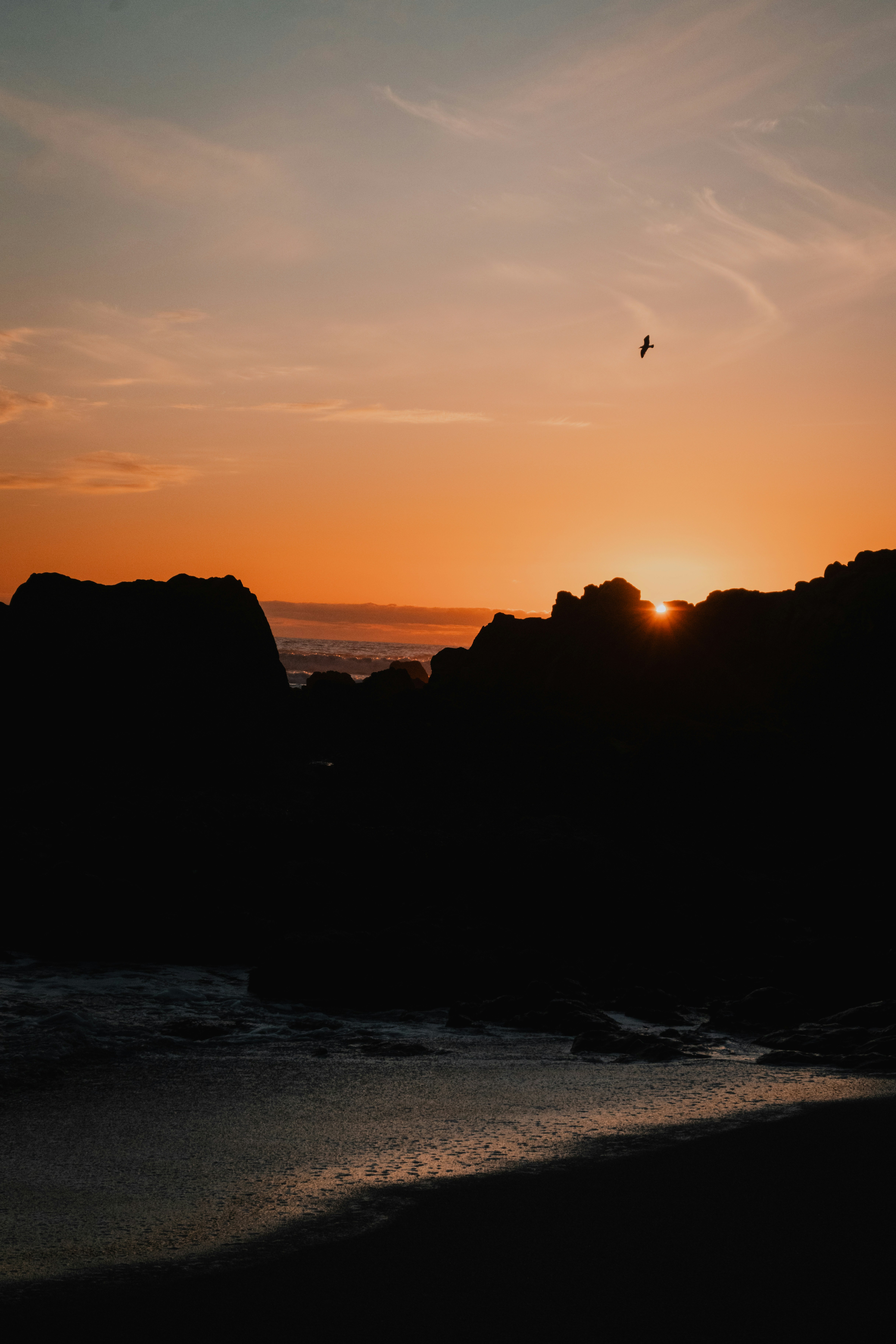 Photo by shotsbylazzz