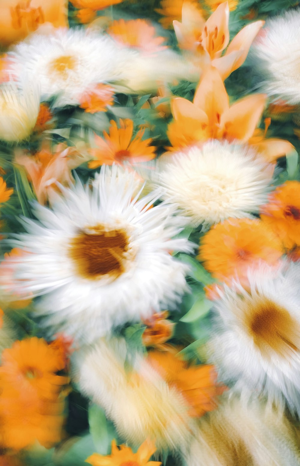 a bunch of white and orange flowers in a vase