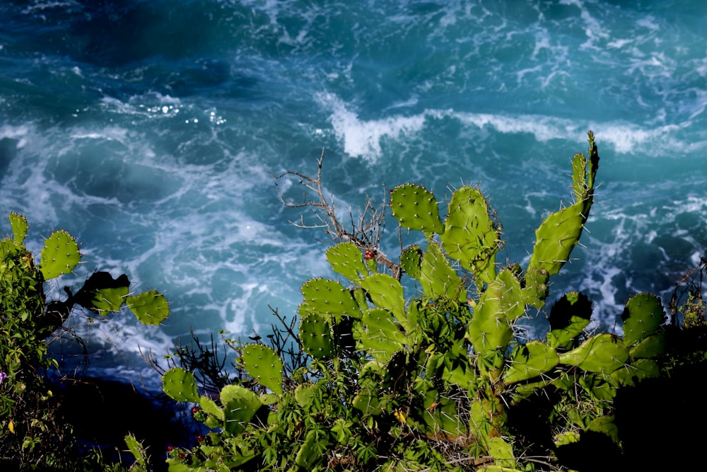 a view of a body of water from a cliff