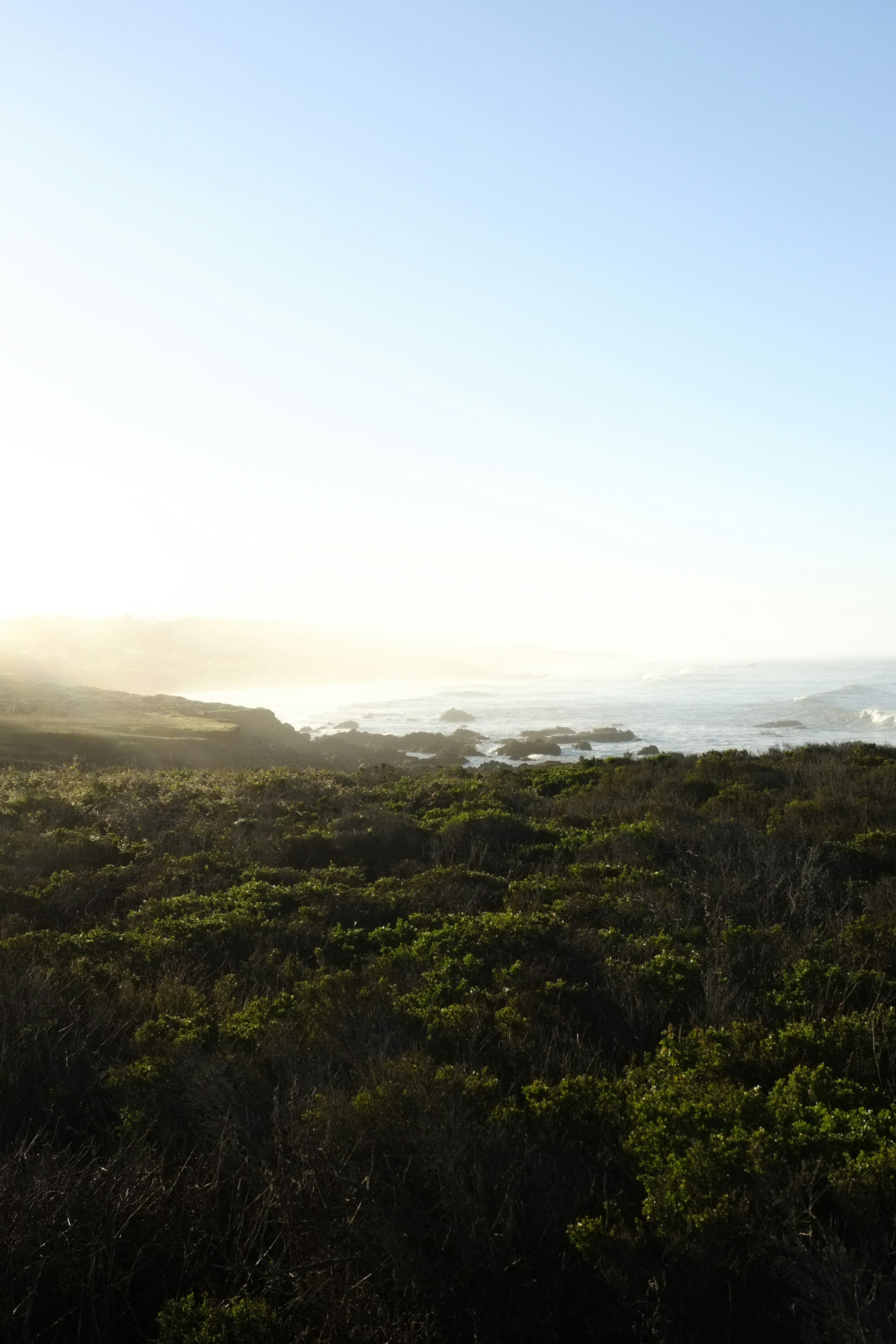 Photo by shotsbylazzz