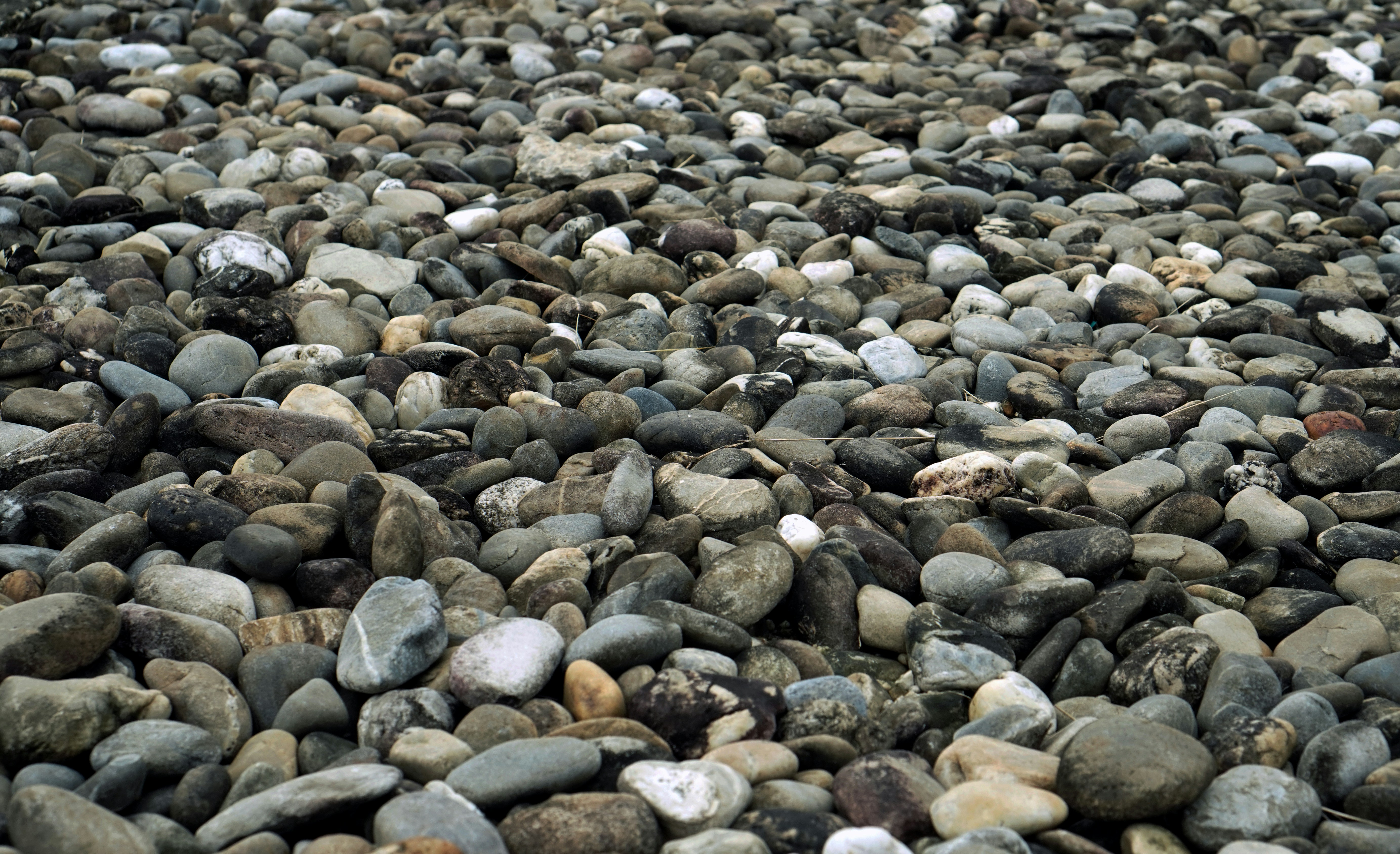 Photo by ahlul130999