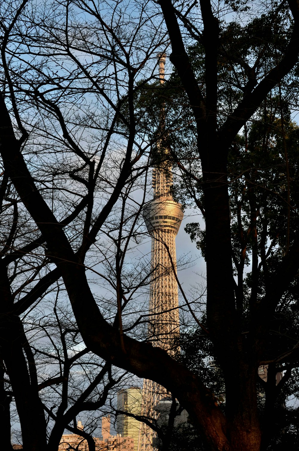 the eiffel tower towering over the city of paris