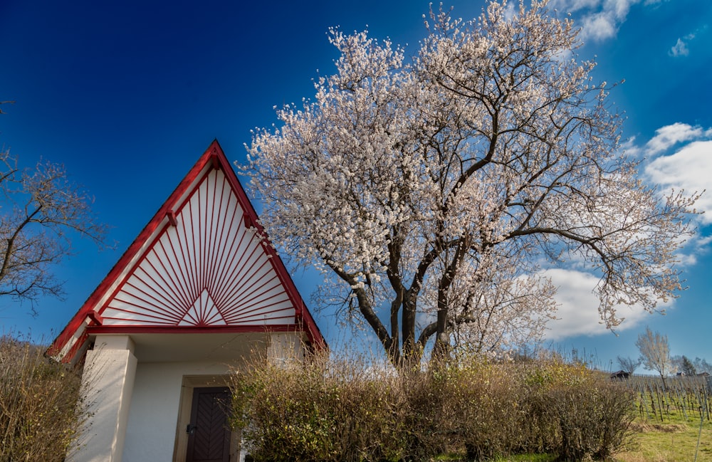 a white building with a red roof next to a tree