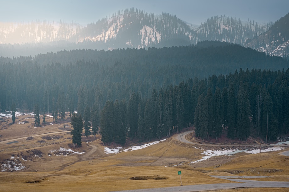 a road in the middle of a field with a mountain in the background