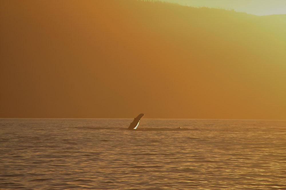 a person riding a surfboard in the ocean at sunset