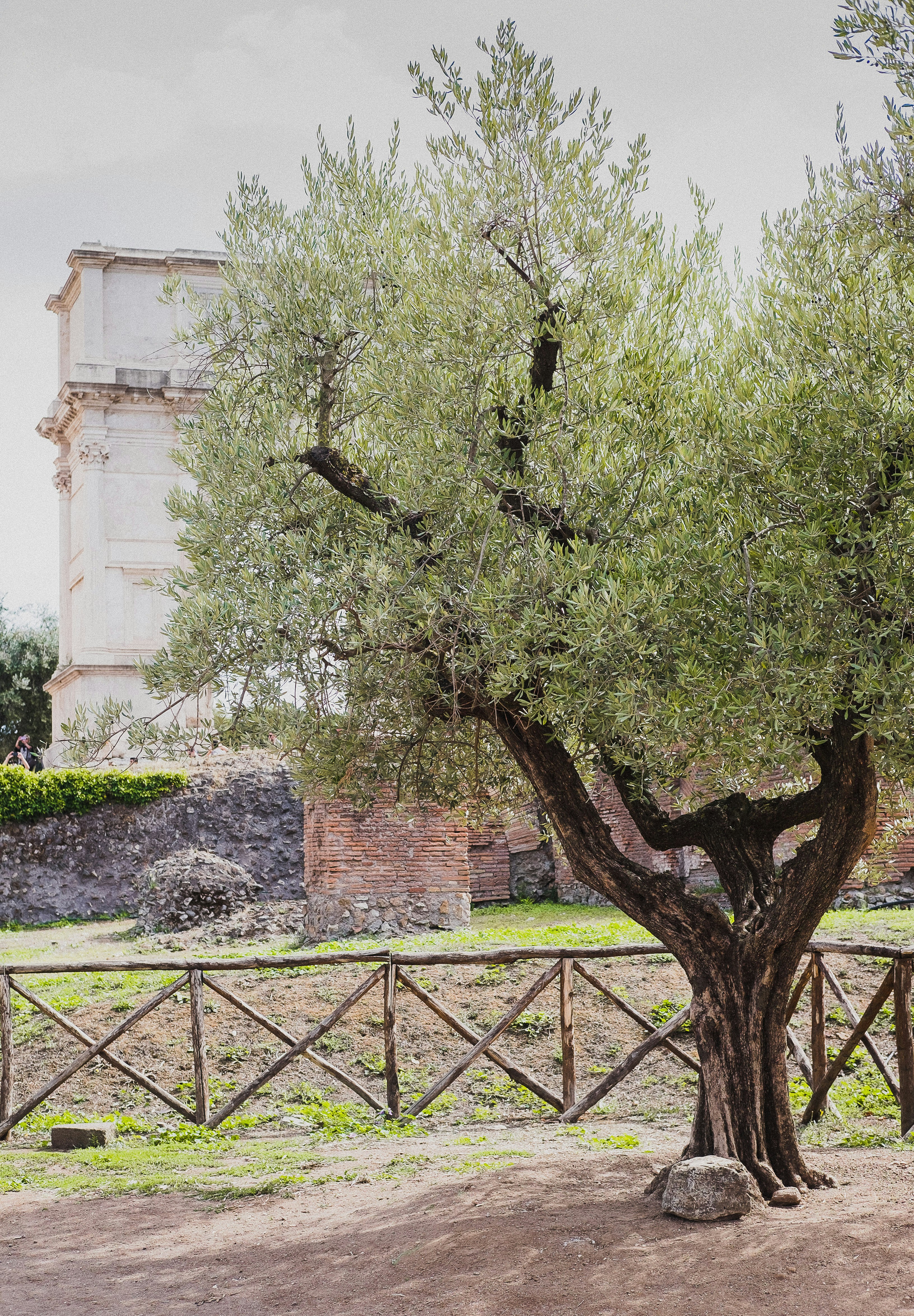 Photo by sophiecturner001