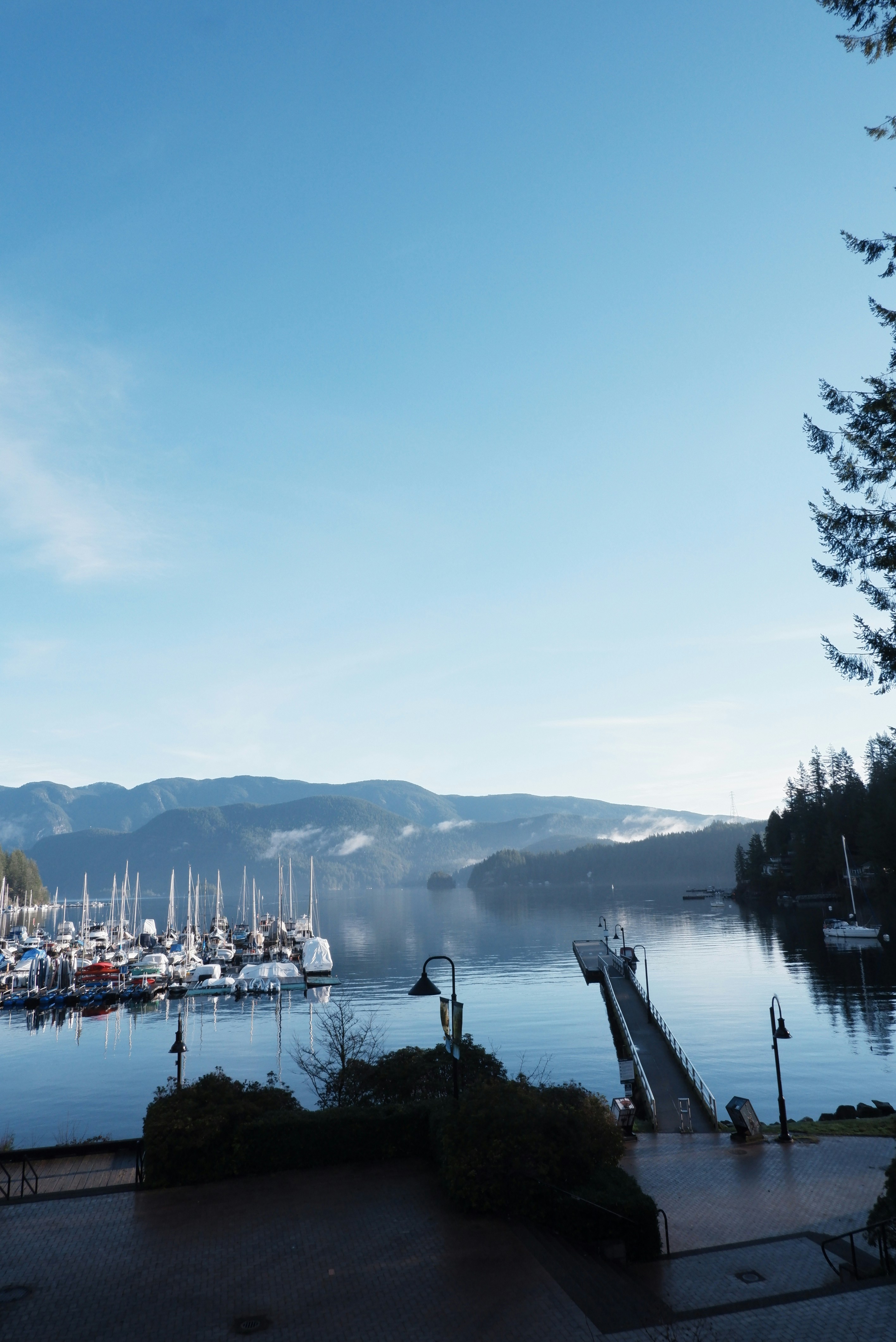 Photo by itsuka_iwaki