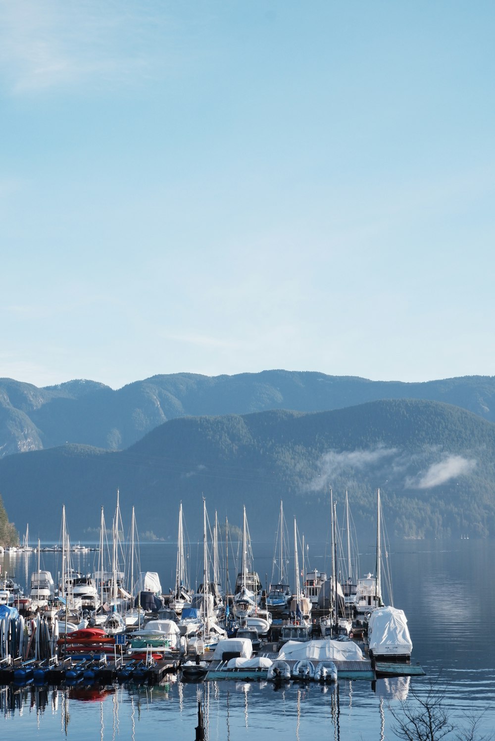 a harbor filled with lots of boats on top of a lake