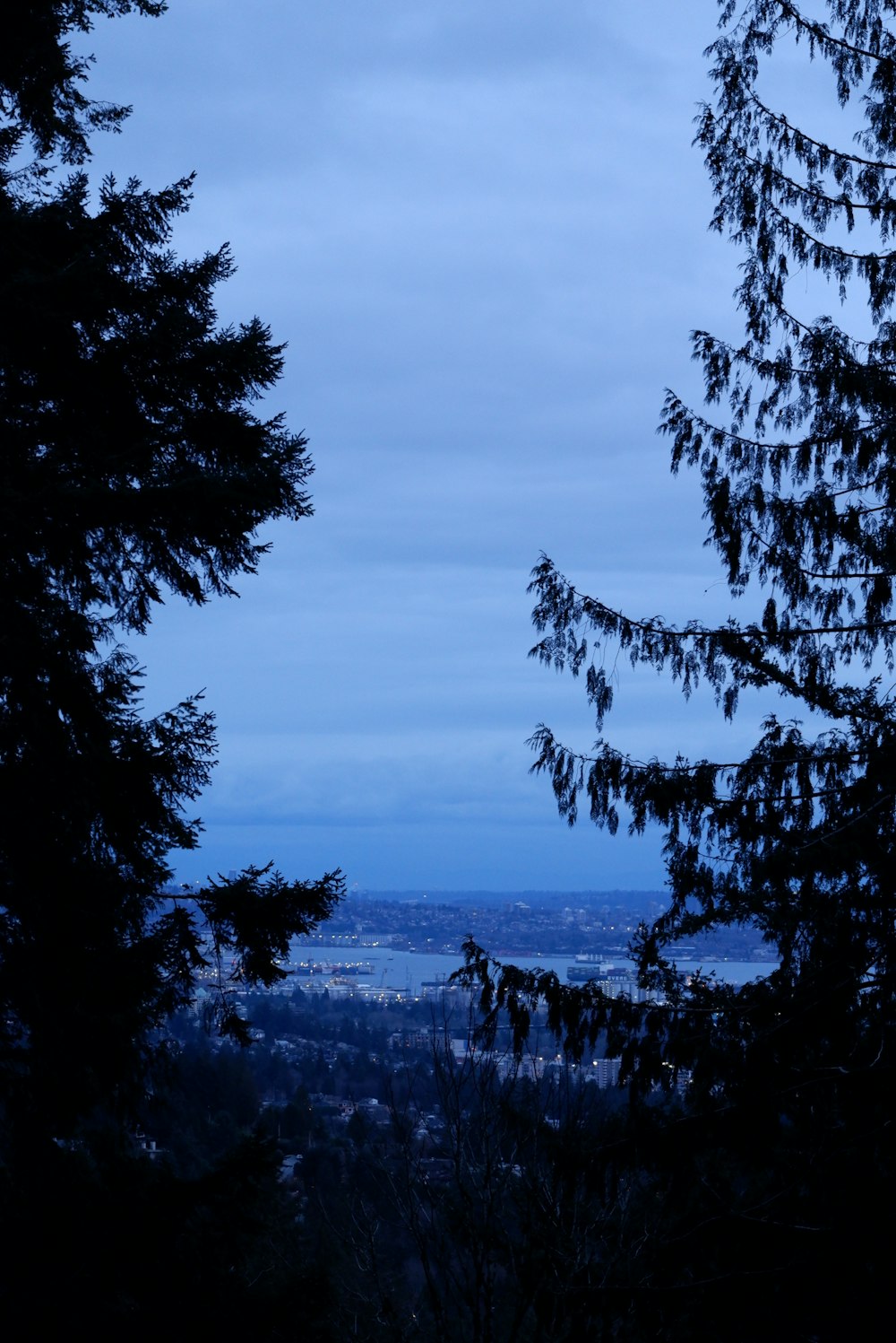 a view of a city from behind some trees