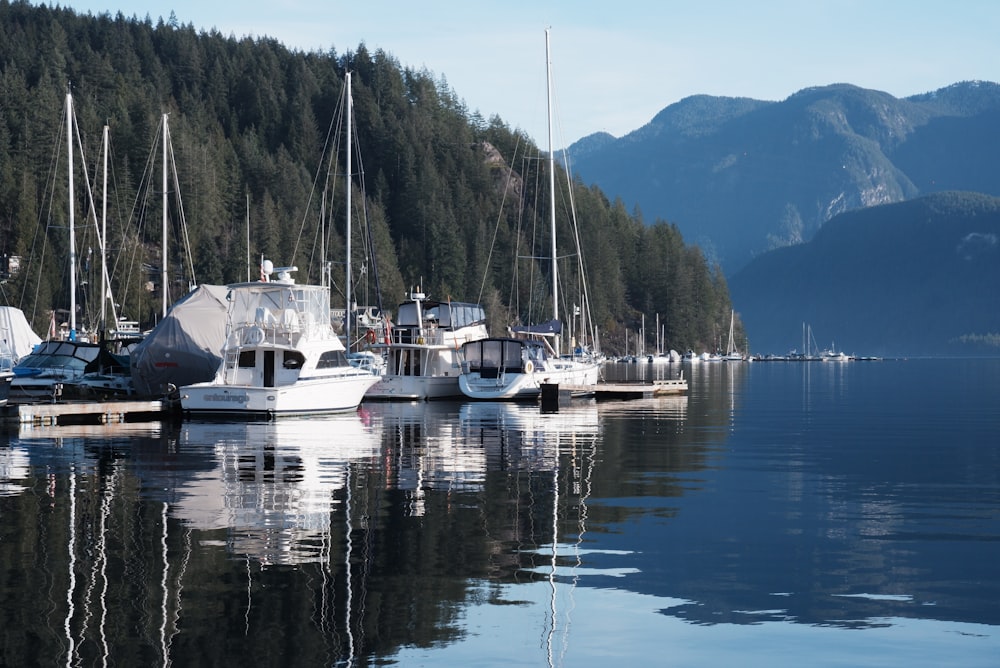 a bunch of boats that are sitting in the water