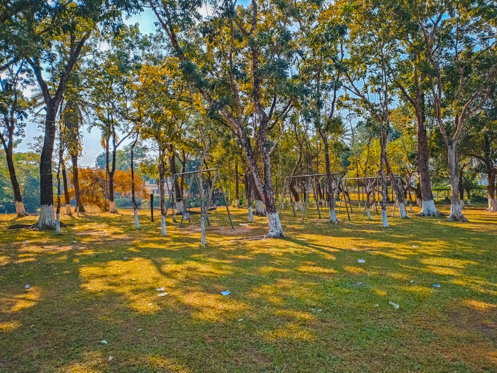 a grassy area with trees and a swing set