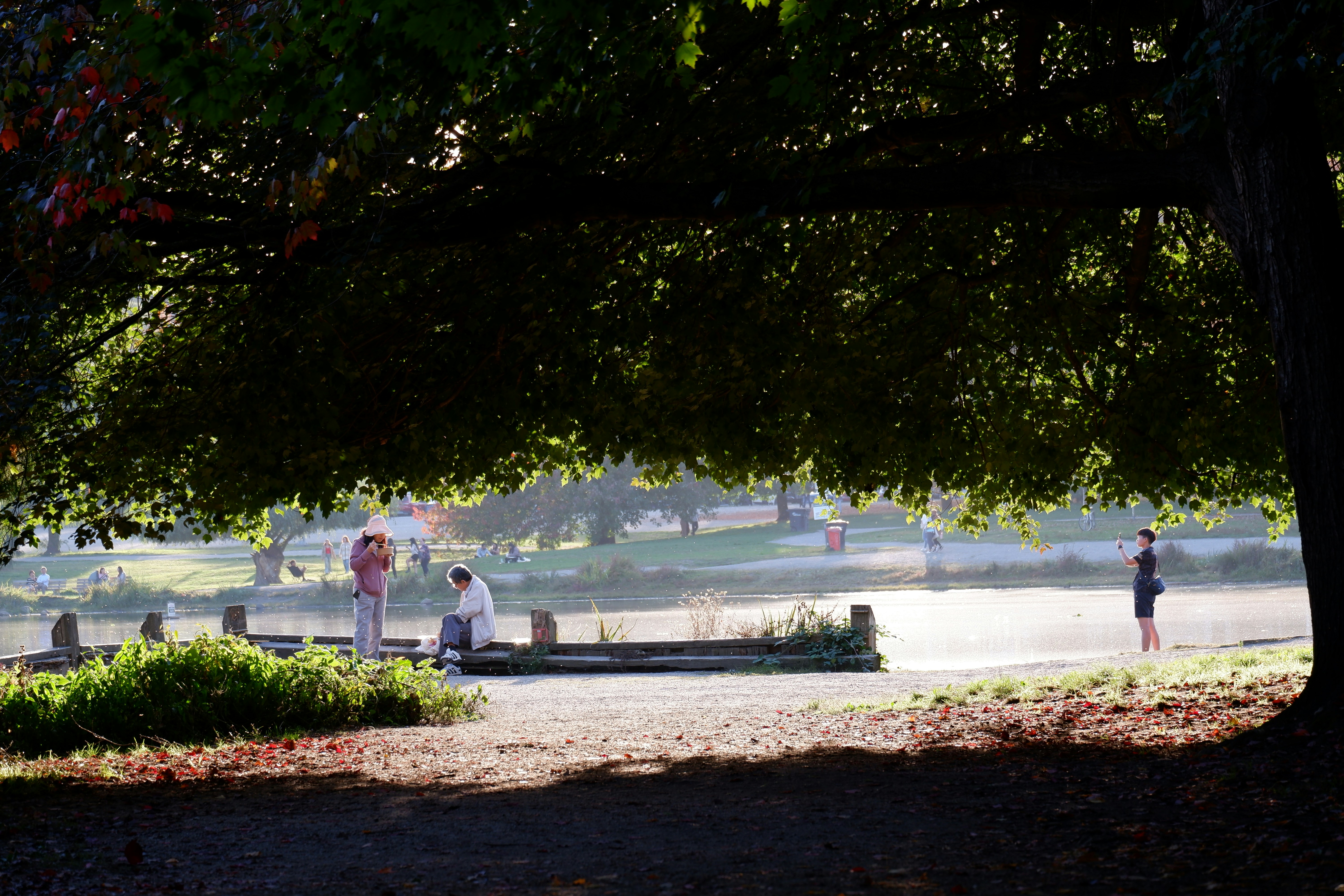 Photo by itsuka_iwaki