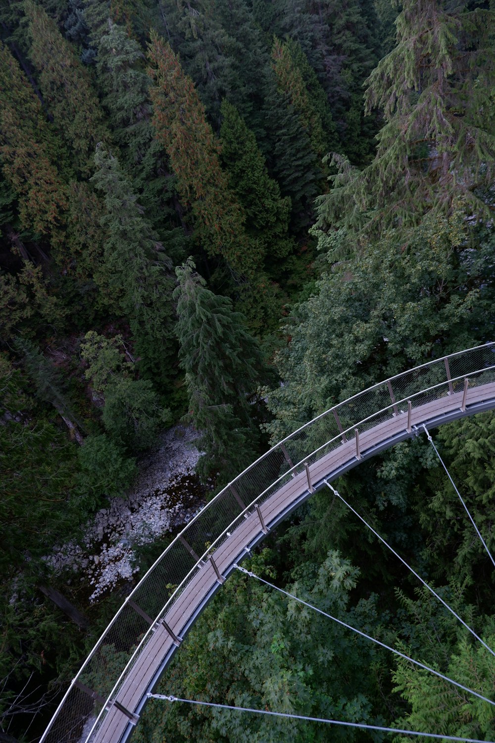 eine Brücke mitten im Wald