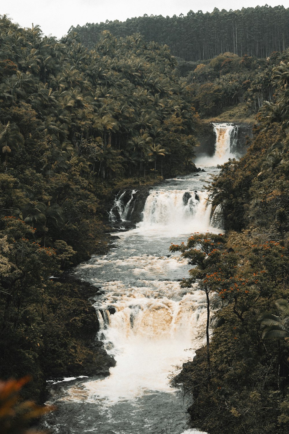 a waterfall in the middle of a forest