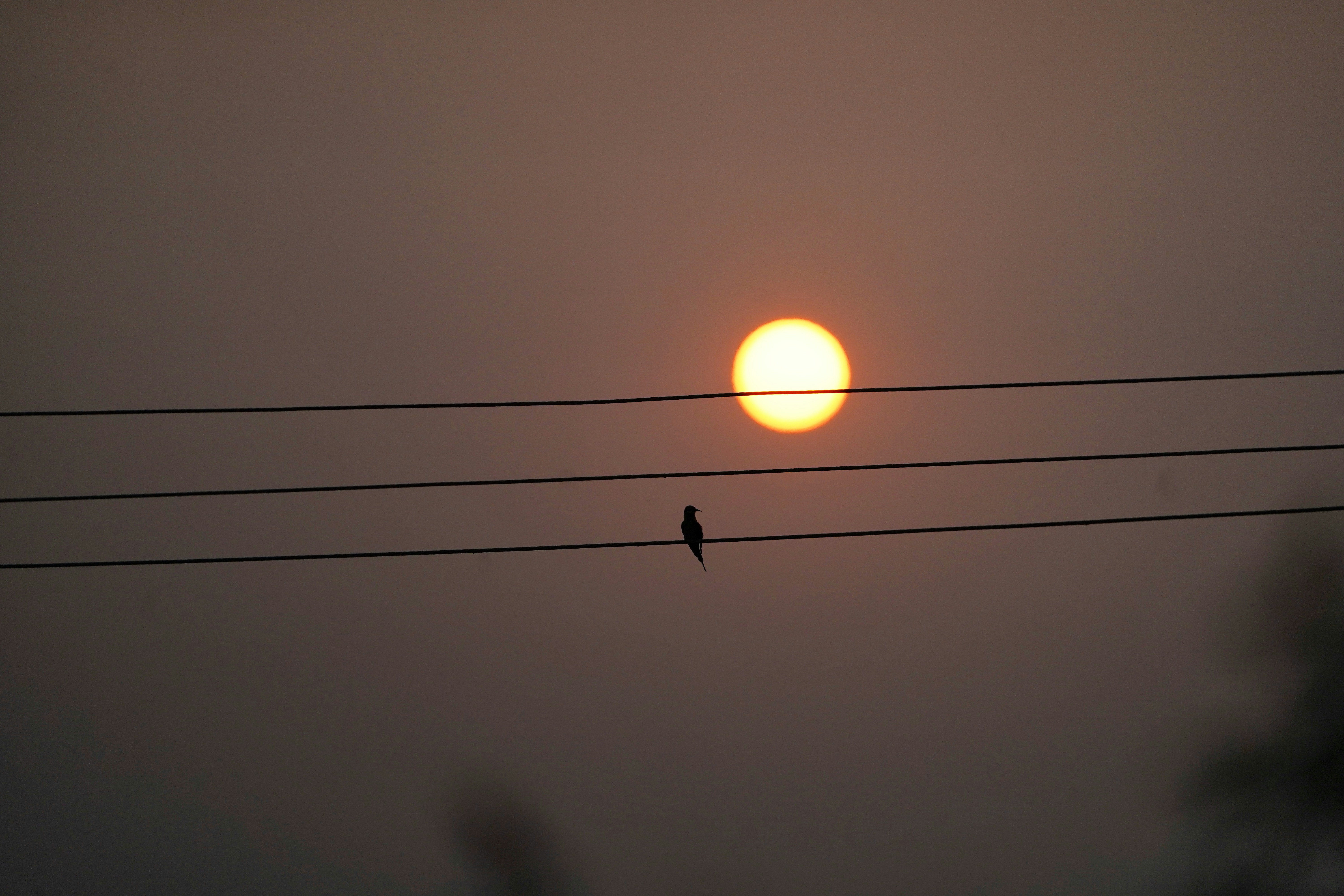 Photo by towards_or_inwards