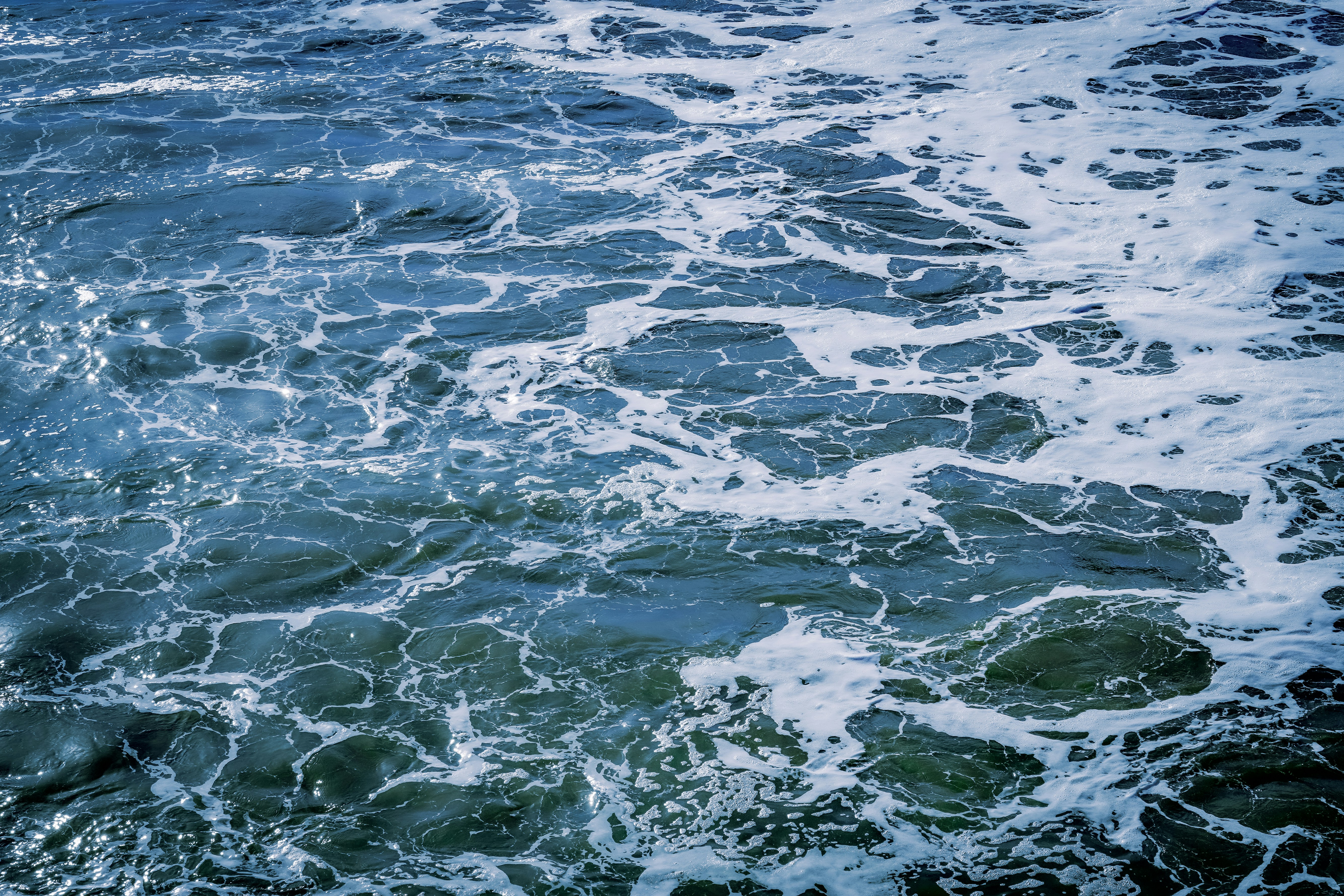 Photo by madeline_sd