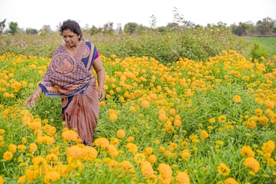 a woman in a field of yellow flowers