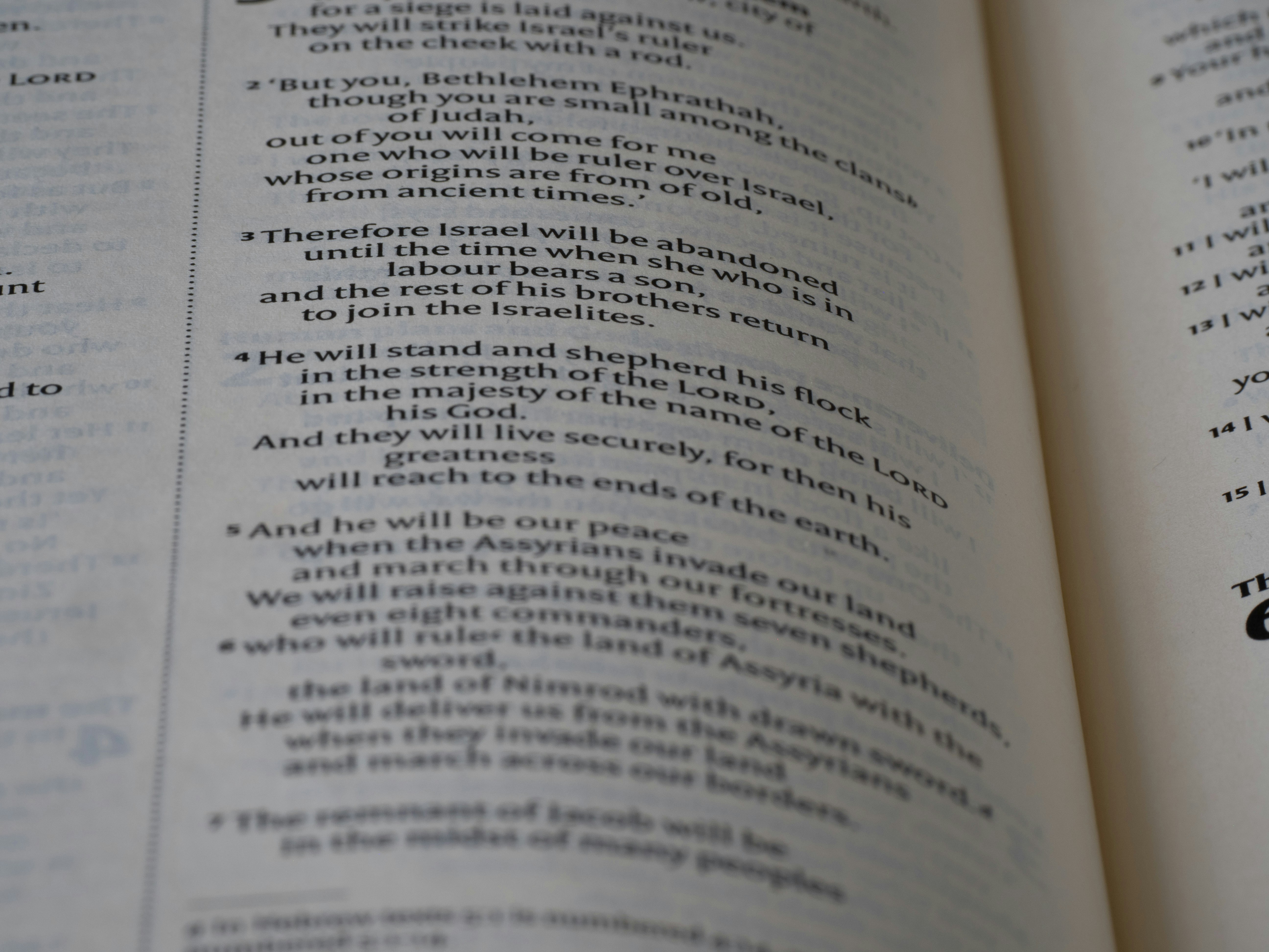 close up, bokeh, macro, blur, blurred background, close focus, bible, old testament, hebrew bible, christian, judaism, history, text, reading, bible study, devotions, New International Version, type, typography, canon, christianity, scripture, old testament, hebrew bible, micah, micheas, minor prophet, jotham, ahaz, hezekiah,