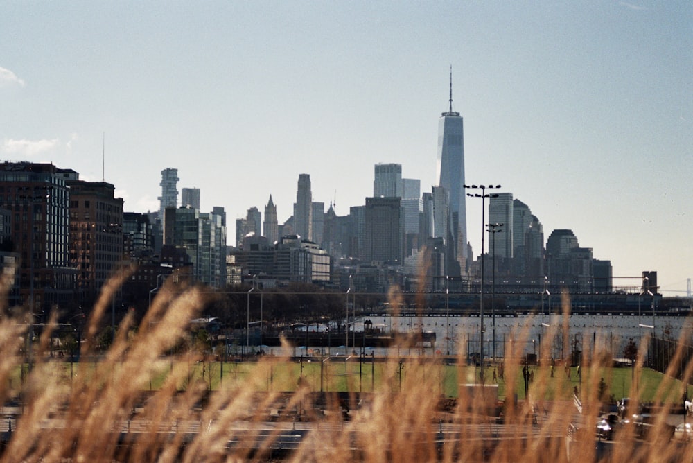 a view of a city with tall buildings