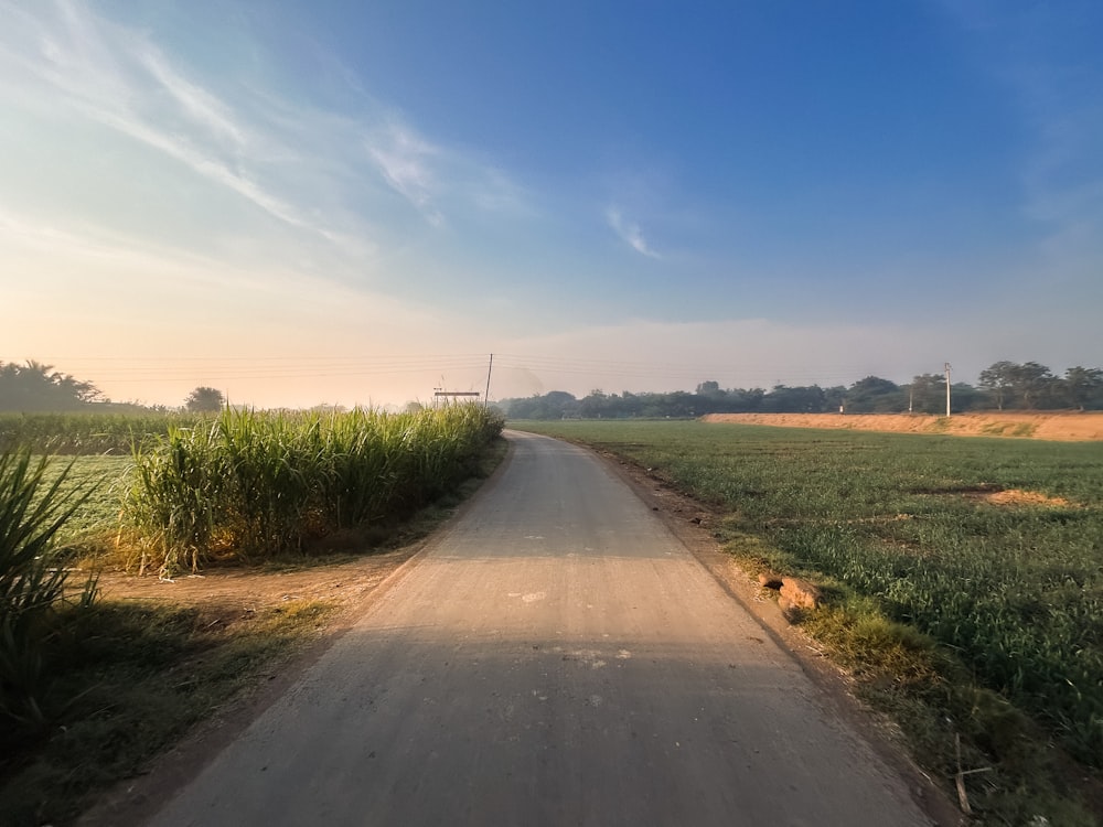 a dirt road in the middle of a field