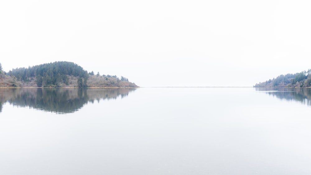 a large body of water surrounded by trees