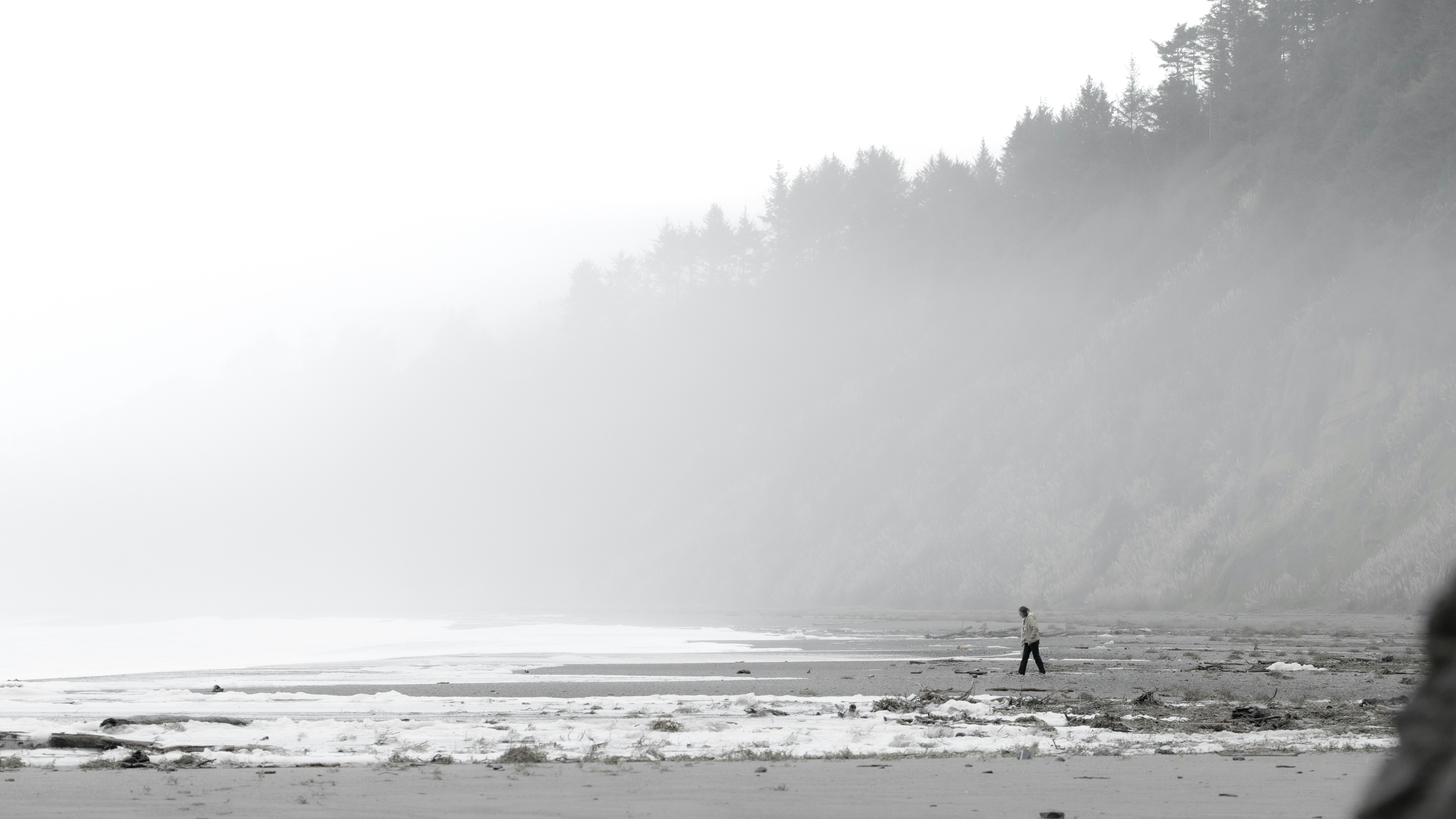 A man walks along an empty, foggy beach in Trinidad
