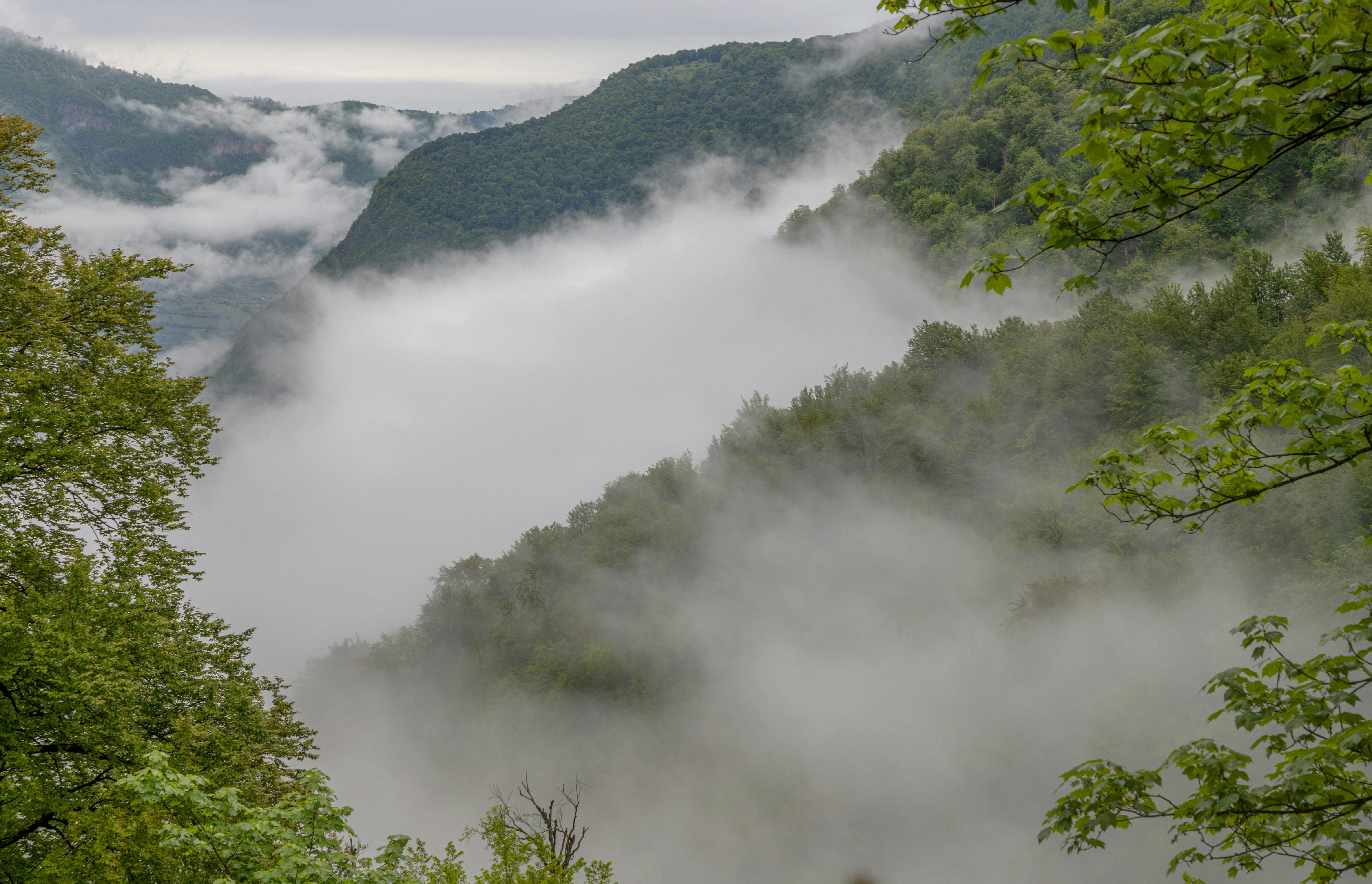 Photo by mahshidsaberpour