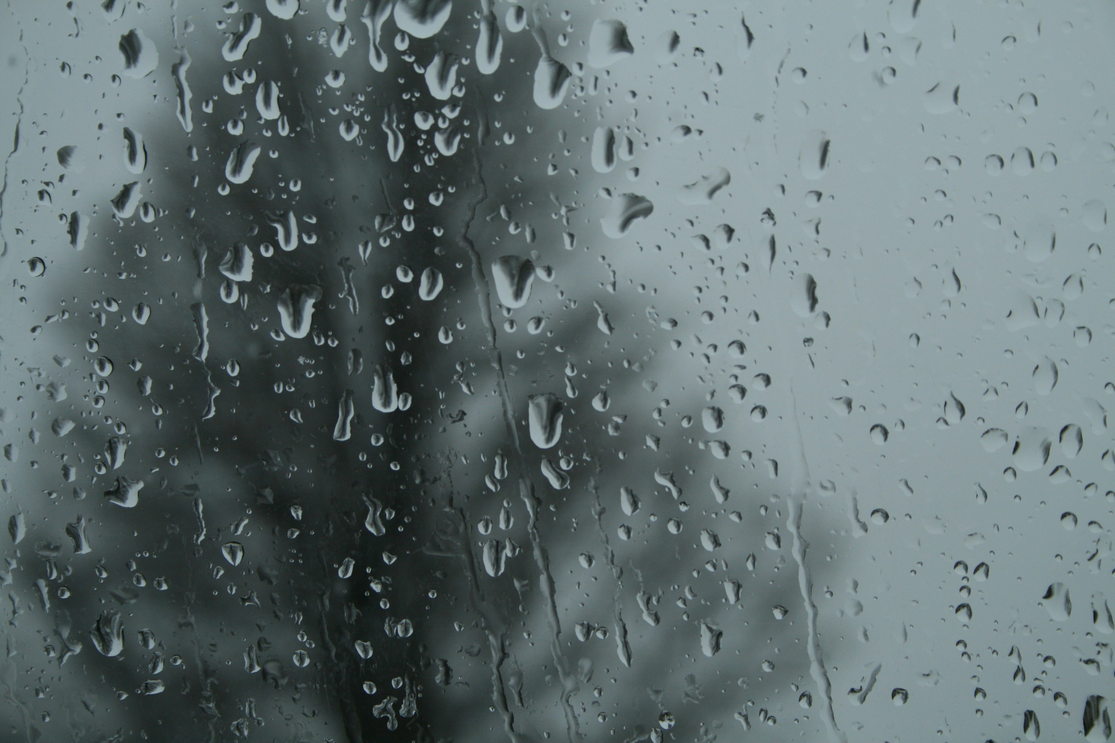 Photo by ruby_leituala