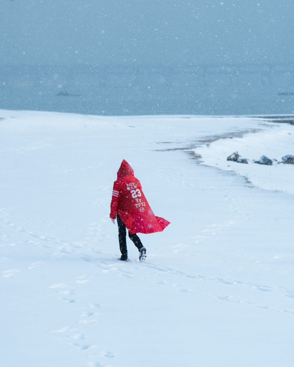 赤いコートを着た人が雪の中を歩いている