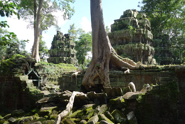 Siem Reap town street, placeholder photo