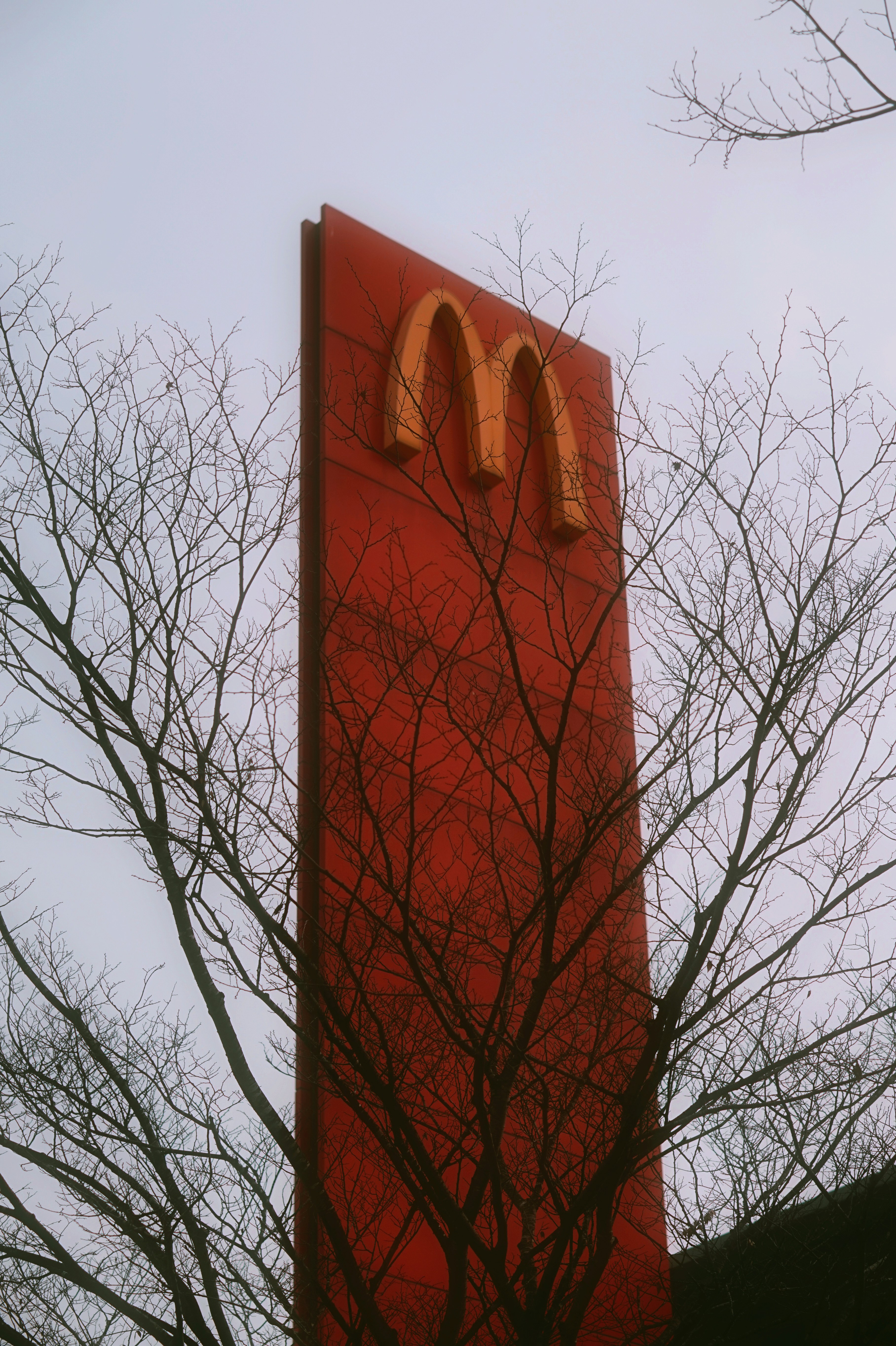 Photo by thingsneverchange