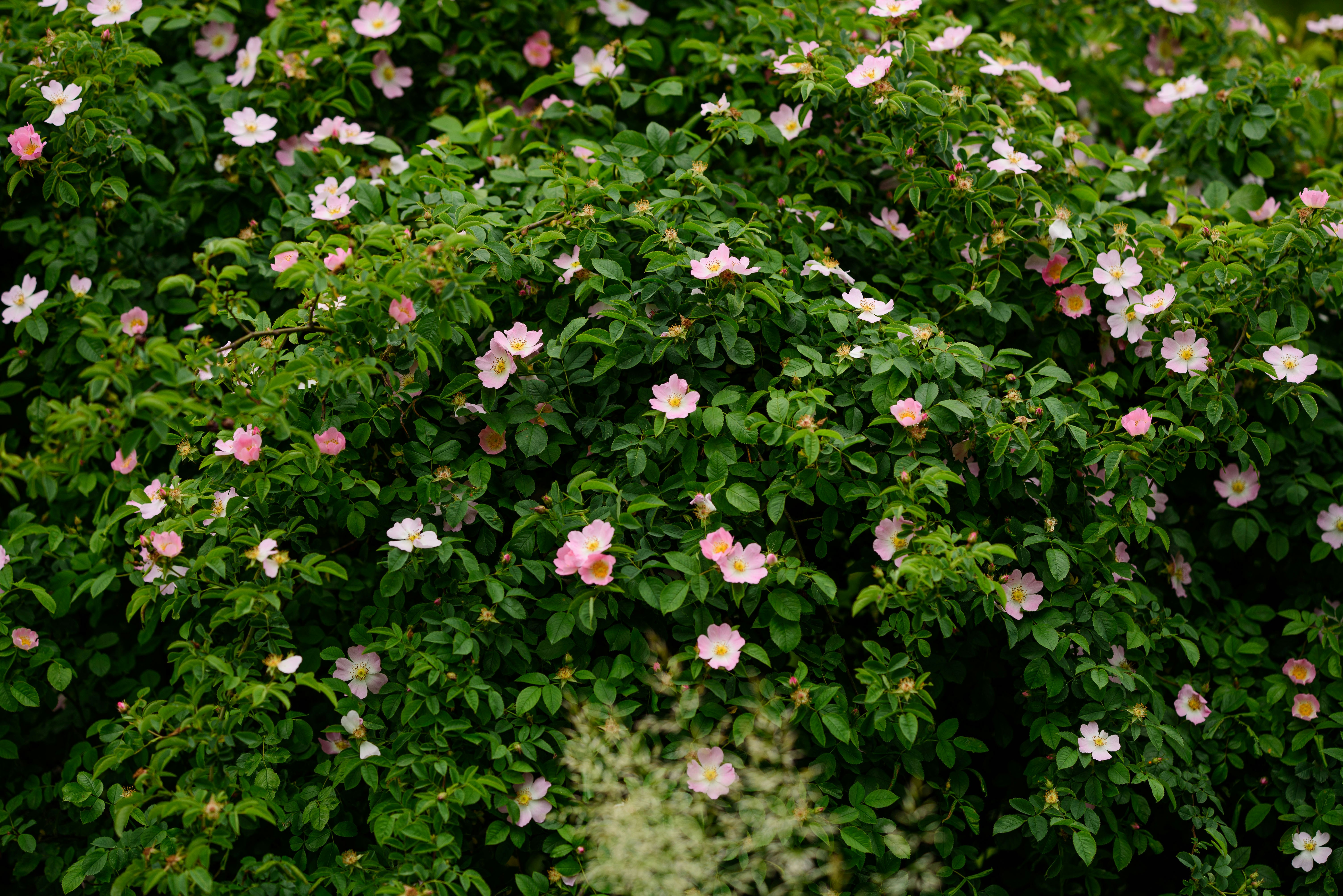 Photo by joanna_stolowicz