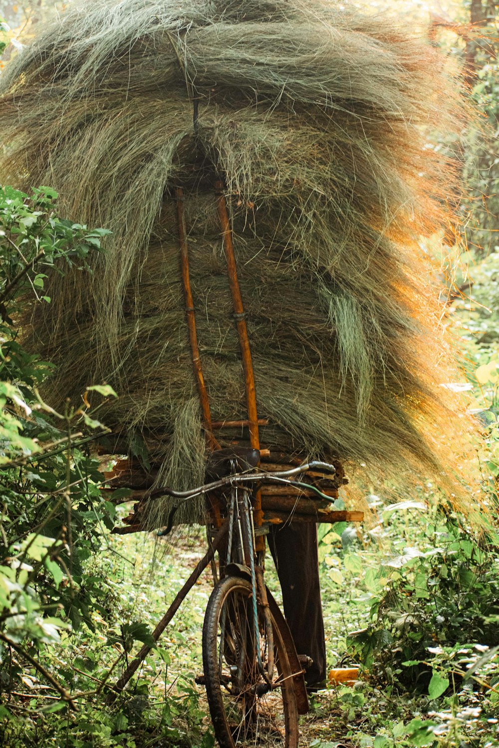 a bicycle with a large load of hay on it's back