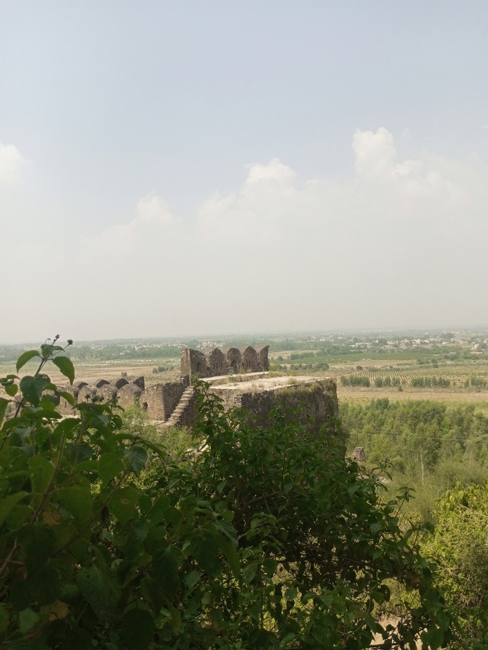 a view of a field with trees and a castle in the distance