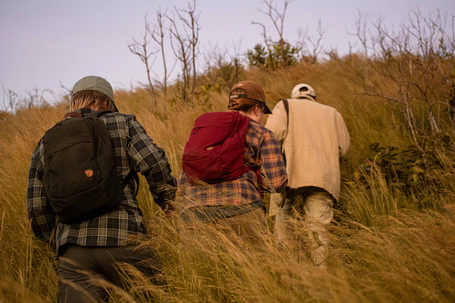 Group walking through golden grass on retreat