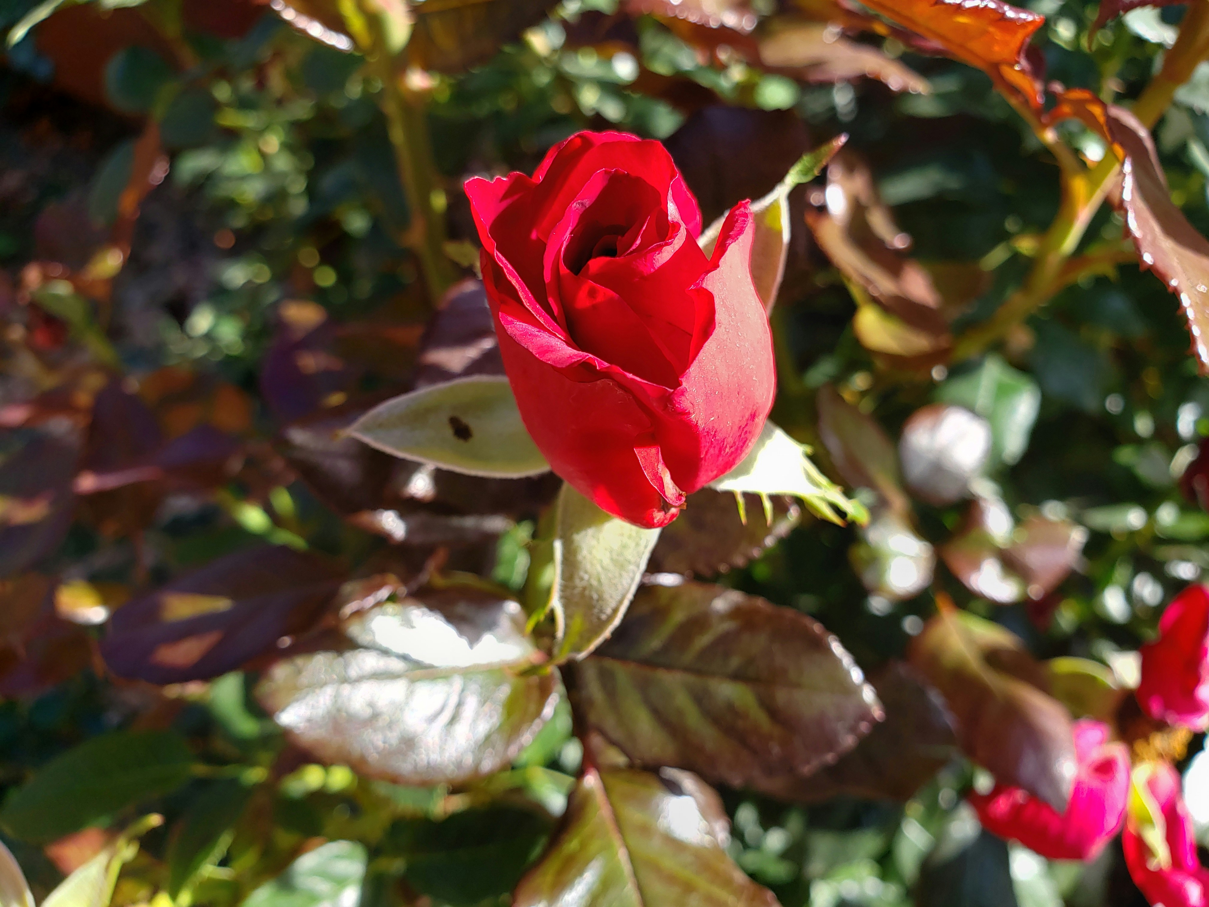 Photo by graysonbell