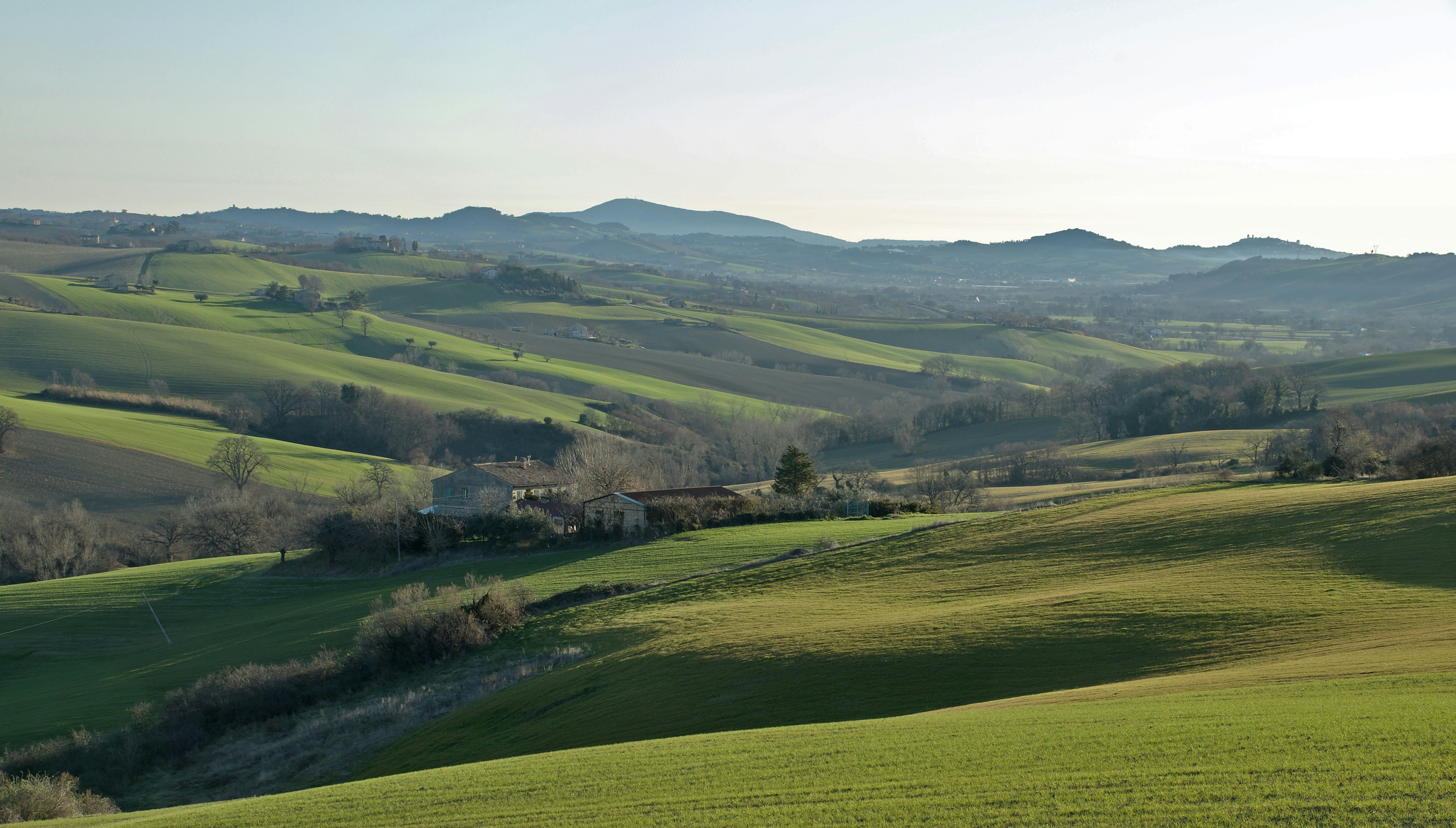 Photo by mariobeducci