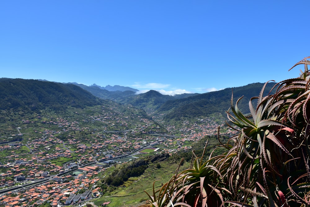 a view of a city from a hill