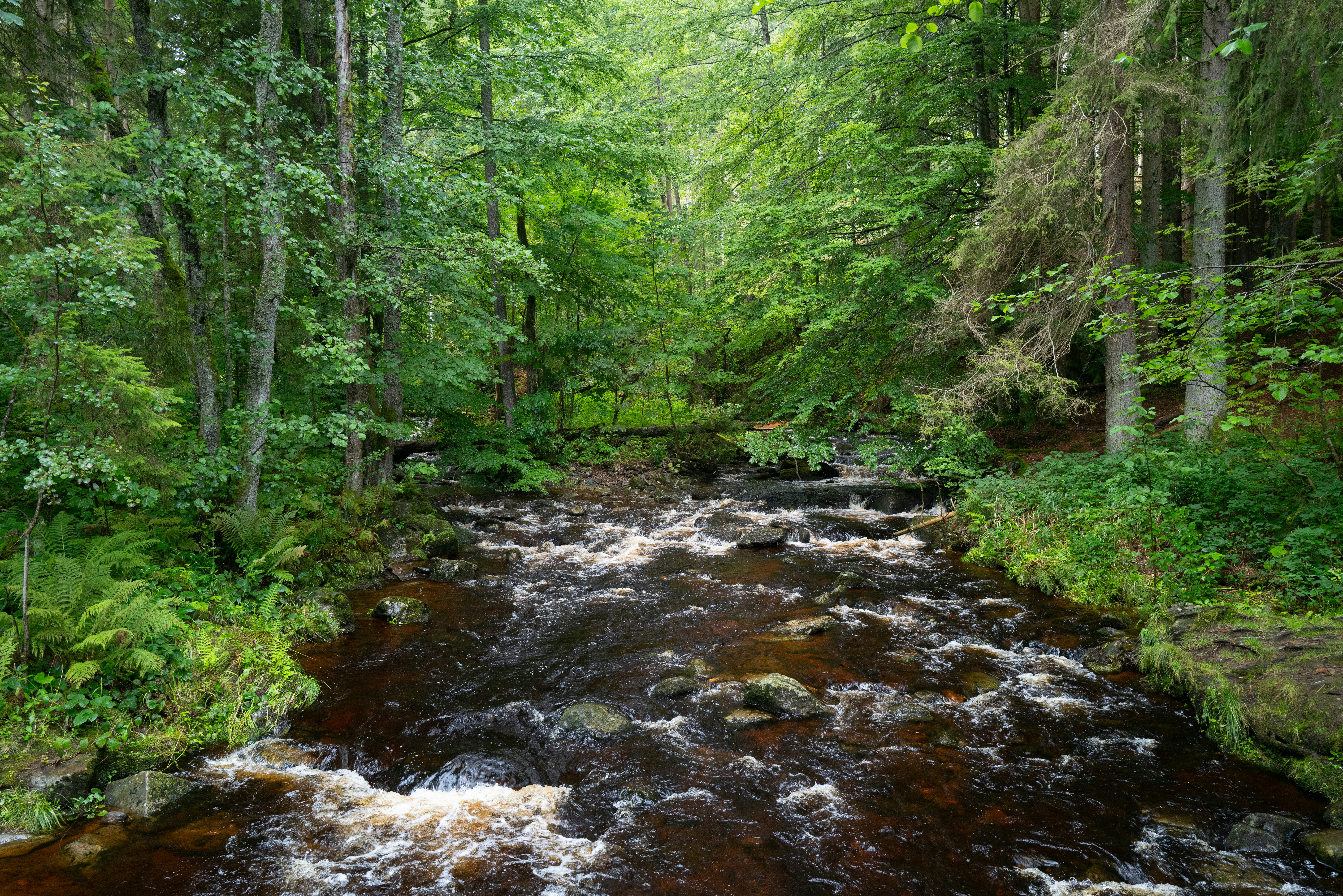 Photo by dominikferl