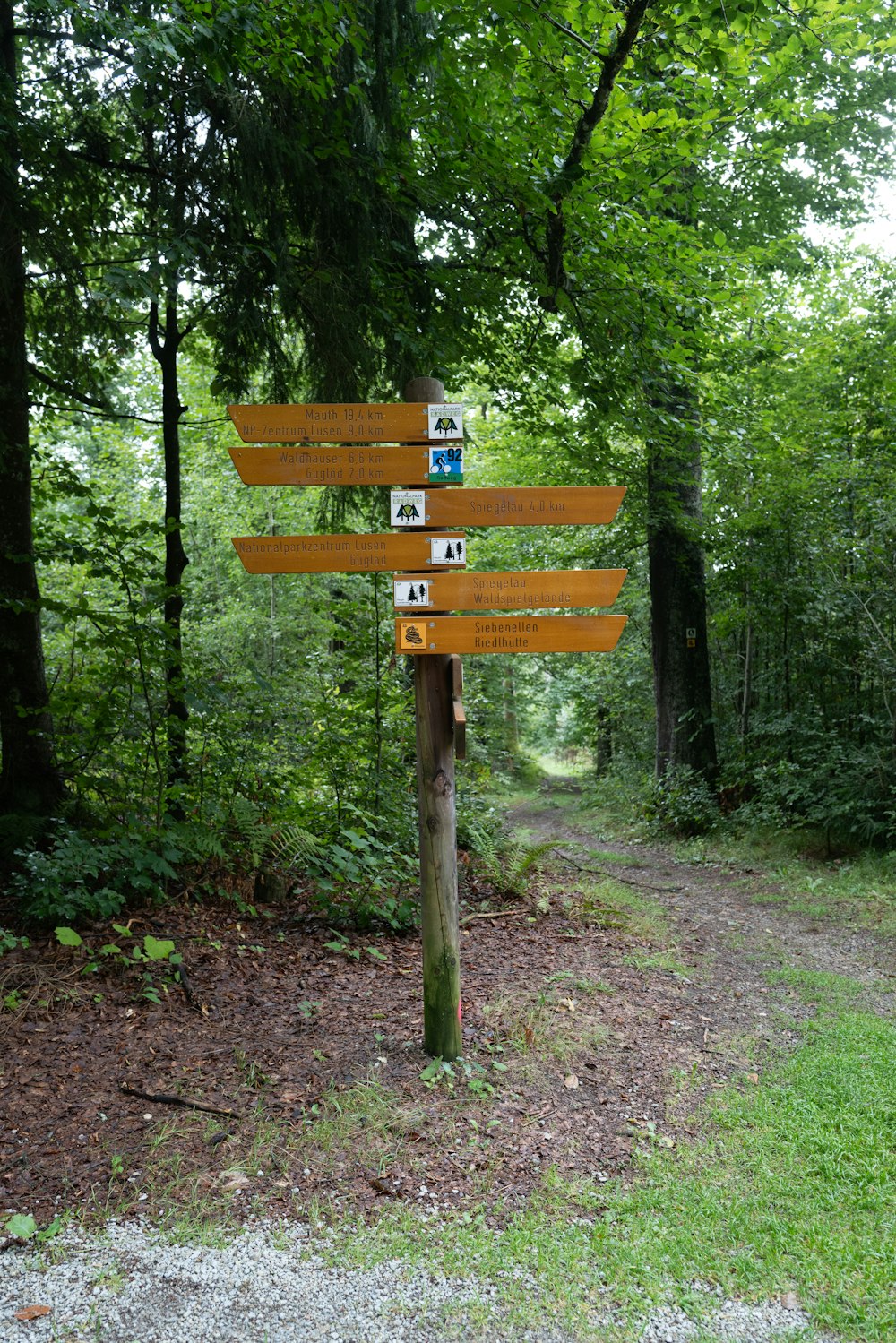 a wooden sign in the middle of a forest