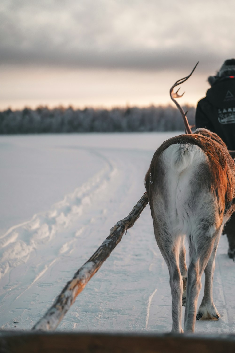 a man riding a horse drawn sleigh through a snow covered field