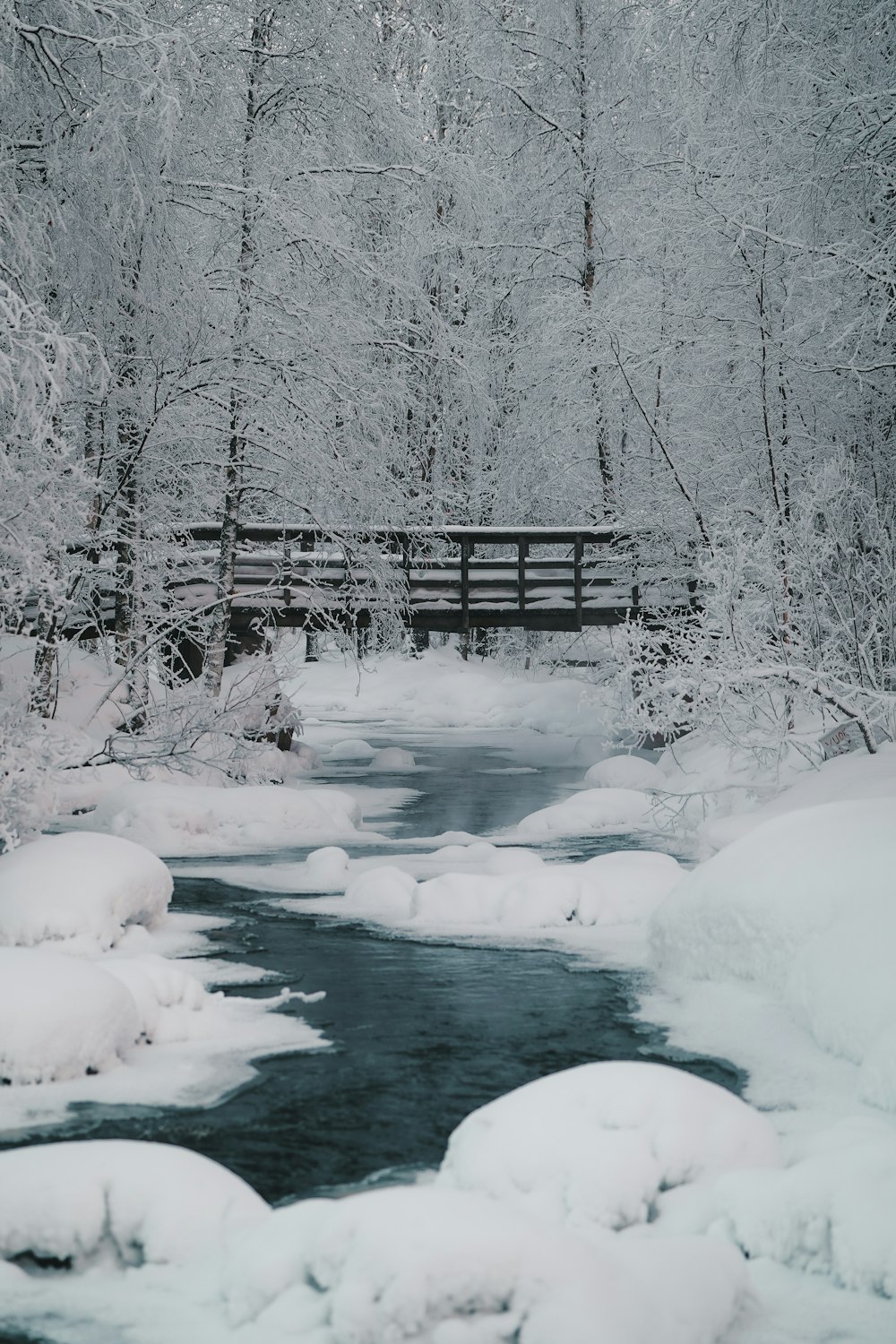 a river running through a snow covered forest