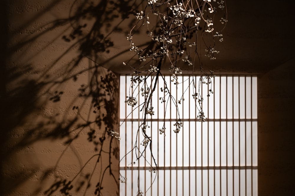 the shadow of a plant on a wall