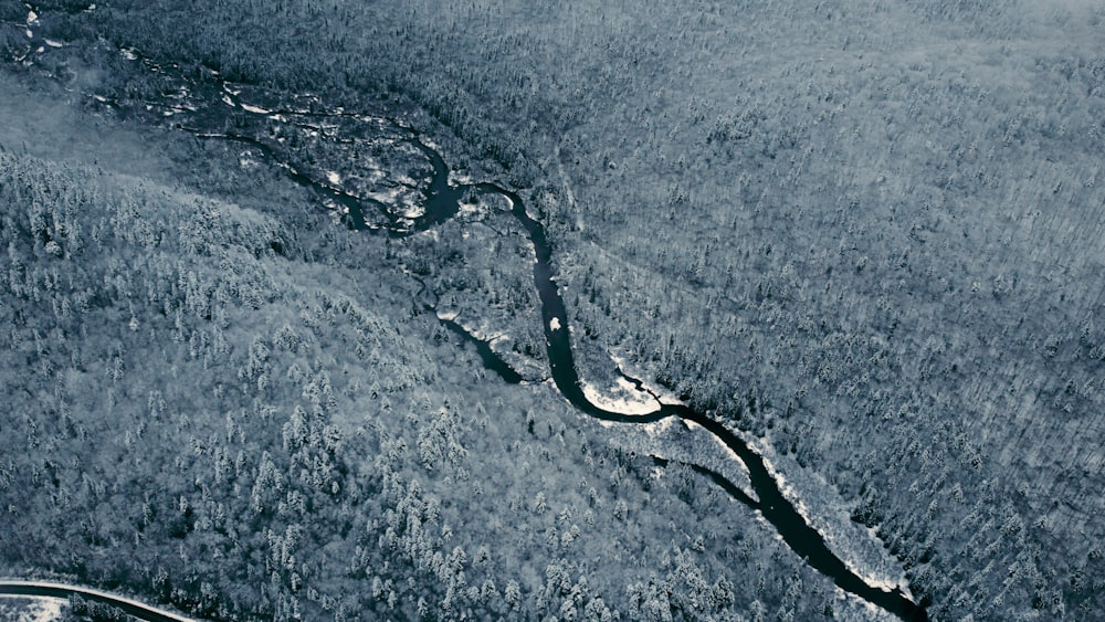 an aerial view of a river running through a forest