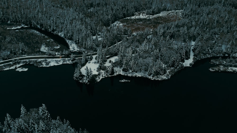 an aerial view of a river surrounded by trees