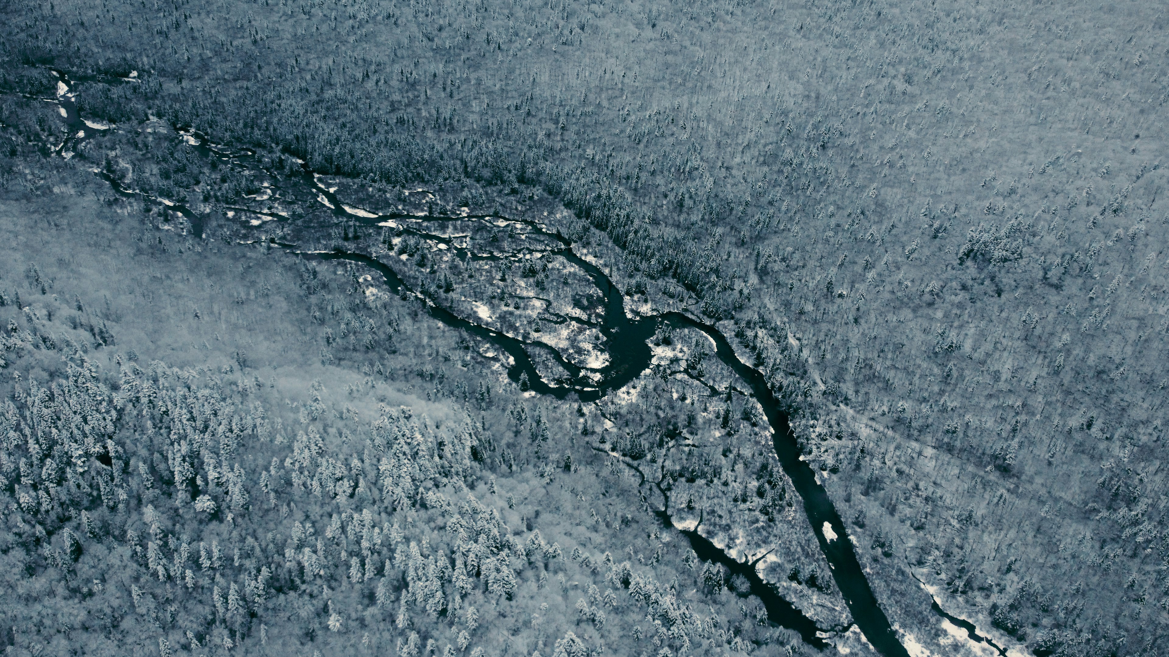 an aerial view of a river running through a forest, 