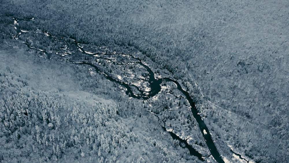 uma vista aérea de um rio que atravessa uma floresta